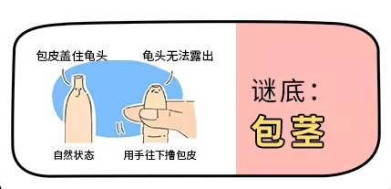 1-2201191G945506.png